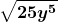 \boldsymbol{\displaystyle \sqrt{25y^5}}