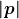 \boldsymbol{\displaystyle |p|}