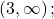 \left(3,\infty \right);