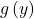 g\left(y\right)