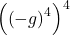 \left(\left(-g\right)^4\right)^4
