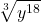 \displaystyle \sqrt[3]{y^{18}} 
