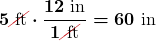 \displaystyle \boldsymbol{5 \Ccancel[myred1]{\text{ ft}} \cdot \frac{12 \text{ in}}{1 \Ccancel[myred1]{\text{ ft}}} = 60 \text{ in}}