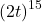 {\left(2t\right)}^{15}