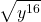 \displaystyle \sqrt{y^{16}} 