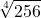 \displaystyle \sqrt[4]{256}