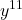 {\displaystyle y^{11}}