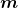 \boldsymbol{\displaystyle m}