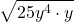 \displaystyle \sqrt{25y^4\cdot y}