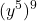 \displaystyle{(y^5)^9