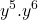 {\displaystyle y^5}.{\displaystyle y^6}