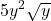 \displaystyle 5y^2\sqrt{y}