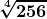 \boldsymbol{\displaystyle \sqrt[4]{256}}
