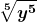 \boldsymbol{\displaystyle \sqrt[5]{y^5}} 