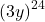 \left(3y\right)^{24}