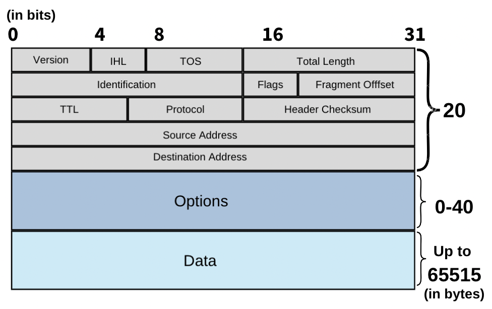 Figure 5-01: An IP Datagram