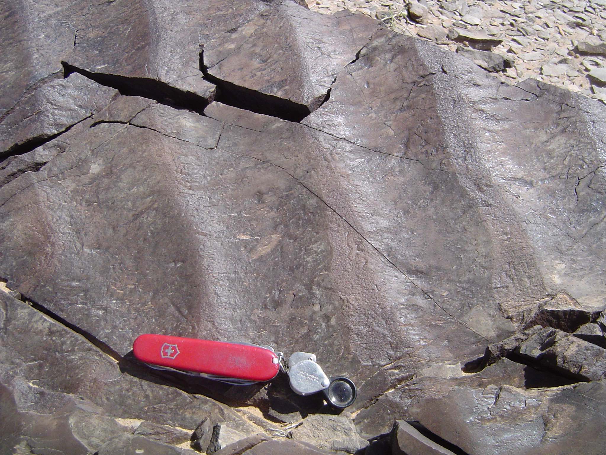 This image shows ripple marks, which are wavy structures in sedimentary rocks.