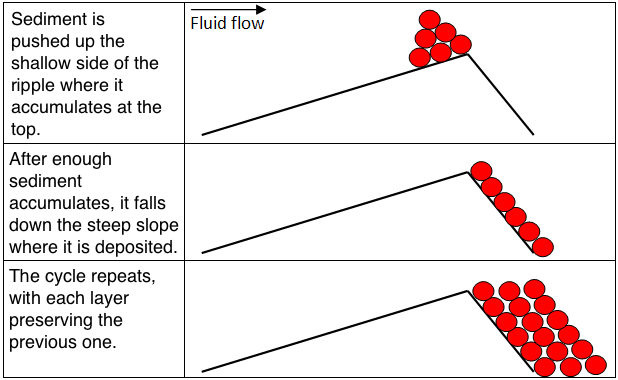 This image shows how sediment grains move to form asymmetrical ripple marks and cross-bedding.