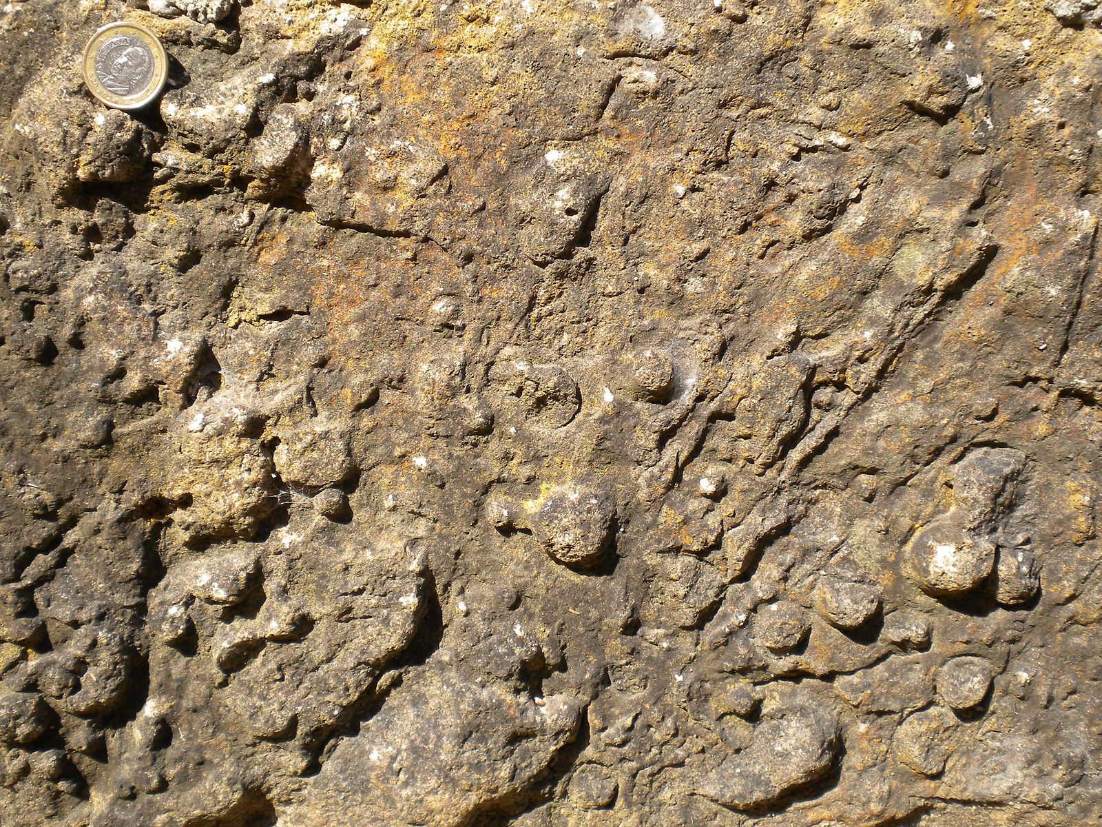 This rock shows circular structures that are load casts.