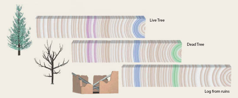 Correlation of 3 tree ring records with partial overlap to make one long record