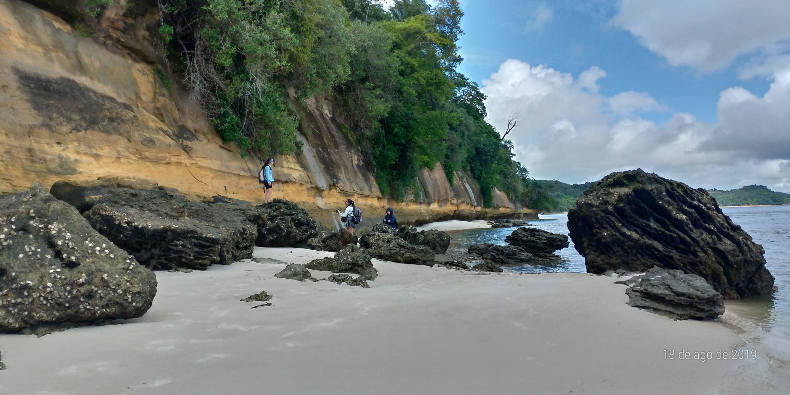 Sandstones and fossiliferous shales from the Dom João Formation on the southwestern side of the Recôncavo basin at Praia da Pedra Mole