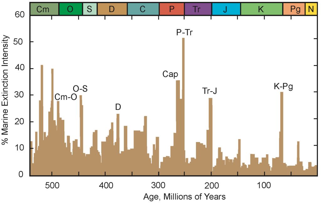 Chapter 7: Fossils – The Story Of Earth: An Observational Guide 2e