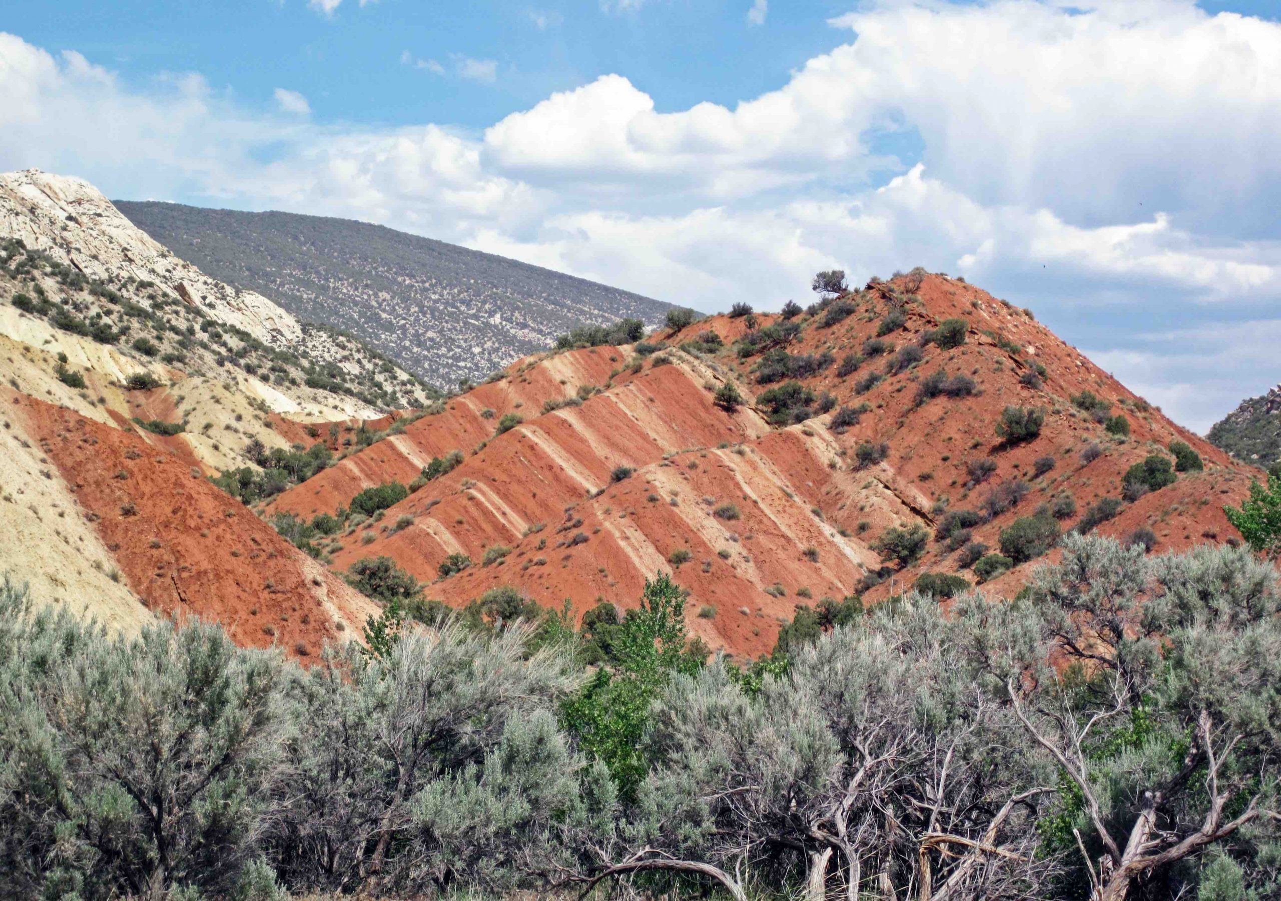 Layers of sedimentary rock titled at an angle. The tilting occurred after the layers were deposited horizontally.