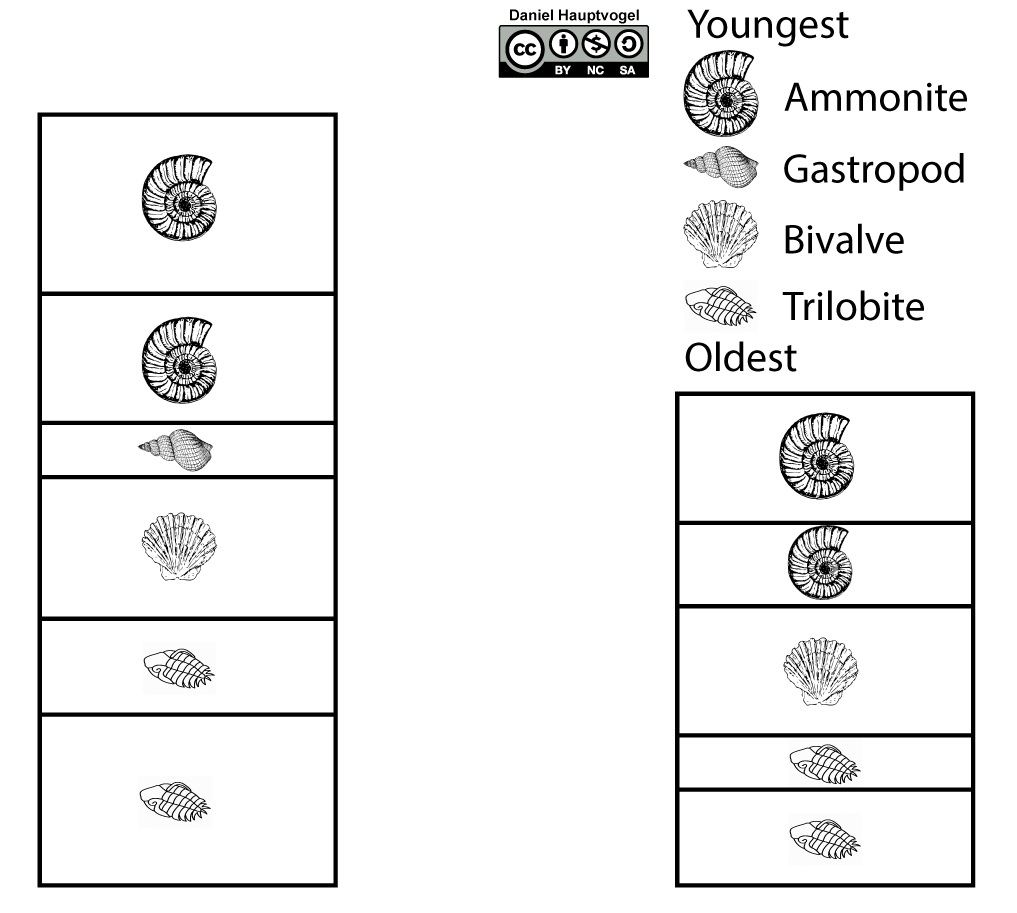 Stratigraphic columns to correlate based on fossils present.