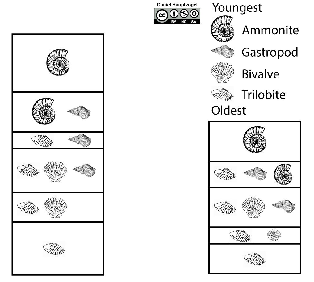 Two stratigraphic columns for the correlation based on fossil assemblages.