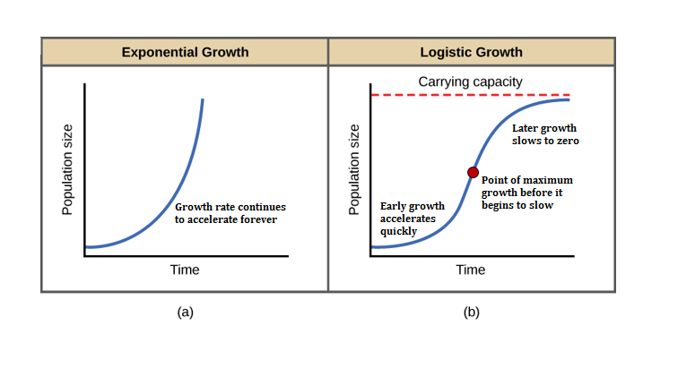 Both (a) and (b) graphs plot population size versus time. In graph (a), exponential growth results in a curve that gets increasingly steep, resulting in a J-shape. In graph (b), logistic growth results in a curve that gets increasingly steep, then levels off when the carrying capacity is reached, resulting in an S-shape.
